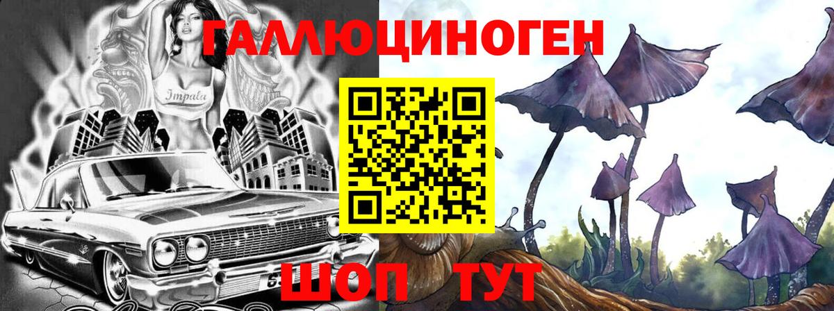 Псилоцибиновые грибы мицелий  наркота  Отрадный  Вход с VPN 